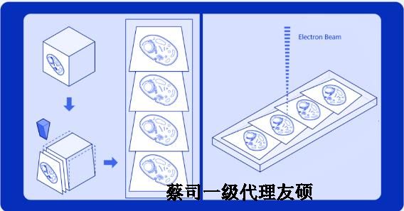 鞍山蔡司鞍山扫描电镜